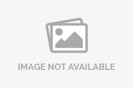 Penyanyi Korsel BoA Dirikan BApal Entertainment Usai Putus Kontrak Dengan SM